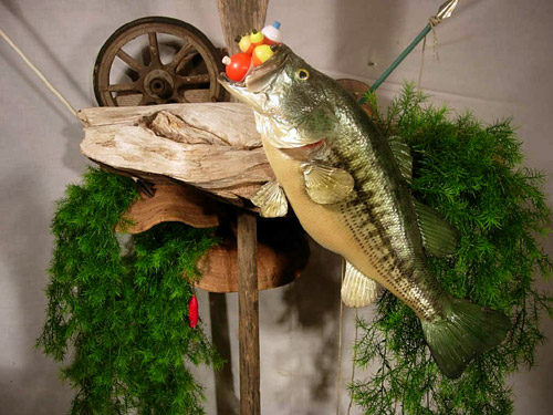 The Hartlaub Postulate