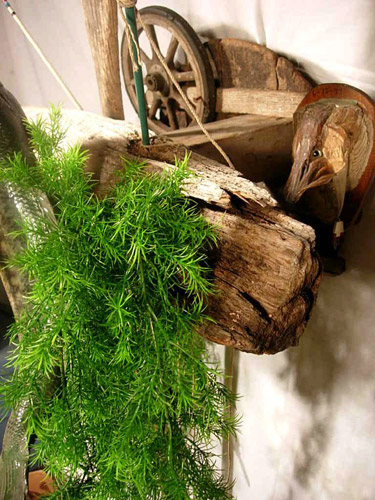 The Hartlaub Postulate