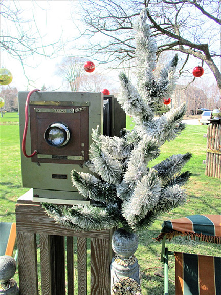 Large Whimsy (detail 5)