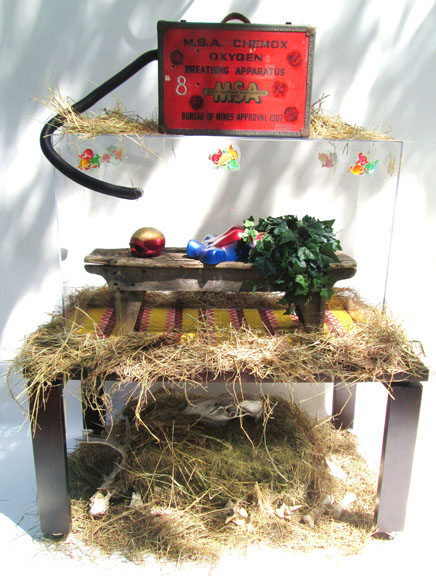 Lifeforce Ltd. - Unit 8