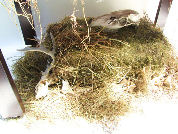 Lifeforce Ltd. - Unit 8 (detail 2)