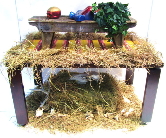 Lifeforce Ltd. - Unit 8 (detail 3)