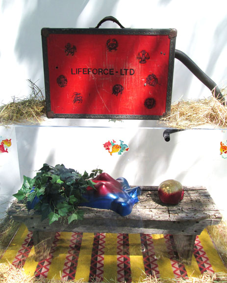 Lifeforce Ltd. - Unit 8