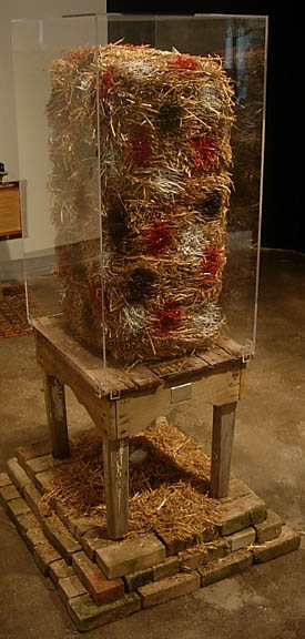 | Other View 1 | Other View 2 | Detail 1 | Detail 2 | Detail 3 | Detail 4 | Gallery 3 | Gallery Index | 