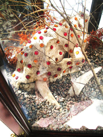 Mom's Saber Tooth, in situ prodigialis