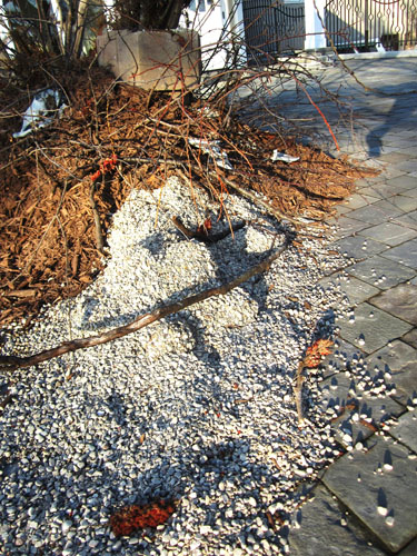 Mound - Deterioration (detail 1)