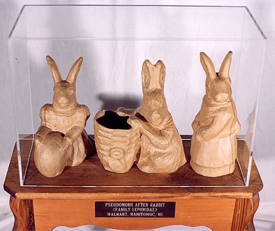 Pseudomorph After Rabbit 