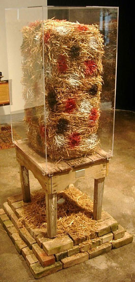 Institute of Visual Arts Installation ( view 3 detail)